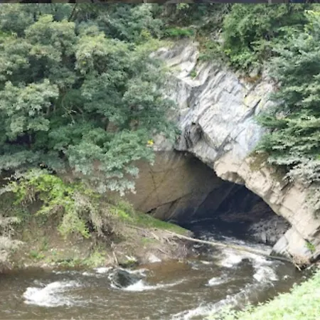 Au Chant Des Oiseaux