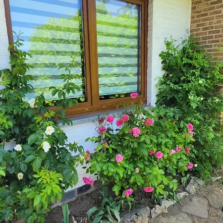 Apartman Au Chant Des Oiseaux