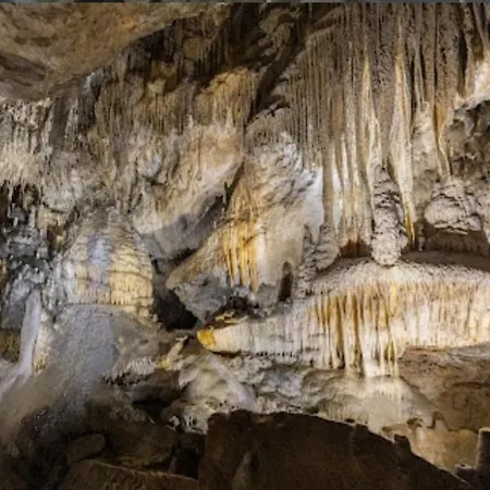 Au Chant Des Oiseaux Rochefort